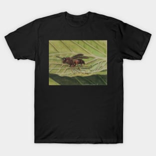 Ant T-Shirt